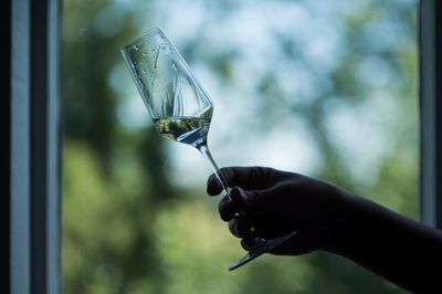 ‘As intense as perfume’: which eaux de vie are worth trying?