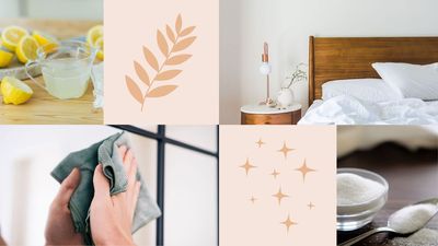 5 food cupboard staples that double up as cost-effective cleaning agents – including table salt