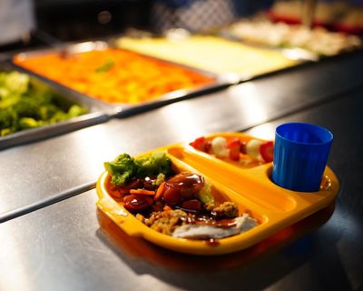 Plan for healthier school meals in England will hit services, say caterers