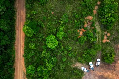 ‘Stonehenge of the Amazon’ reveals secret of who lived in the rainforest before colonisation