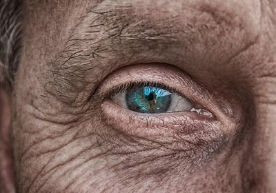 Simple Fatty Acid Injection Reverses Age-Related Vision Loss in Mice and May Help Prevent Macular Degeneration