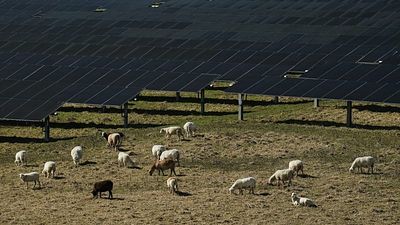 ‘Turn short-term crisis measures into lasting reforms’: Experts on EU’s energy battle plan