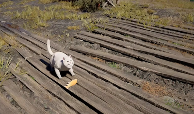 'Crimson Desert' Pets: Instant Taming Tricks, Rare Locations & Armor Guide