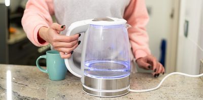 Why some countries give away free electricity and even pay consumers to use it