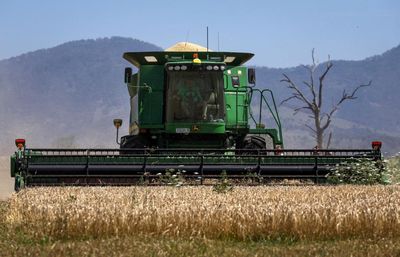 Fertiliser is in short supply. What does it mean for Australia’s farmers – and your bread?