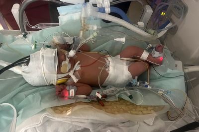 Mother of baby who died days after home birth was failed by NHS trust – inquest