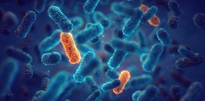 What a ‘post-antibiotic era’ could mean for modern medicine