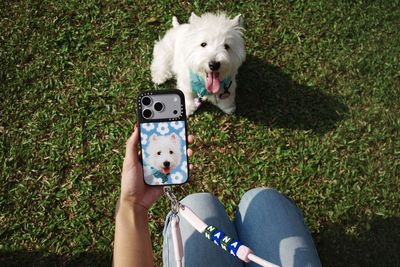 CASETiFY’s new pet collection could bankrupt me