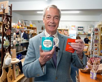 ‘Toxic’ views of Reform UK candidates raise questions about party’s vetting