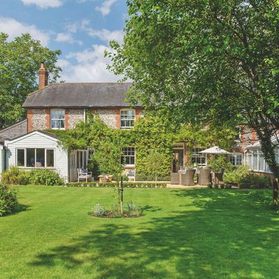 Peak tree pollen season has arrived in the UK – how to keep your home’s air quality levels stable amidst the Met Office’s warnings