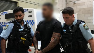 Dodgy number plates help save life of underworld boss