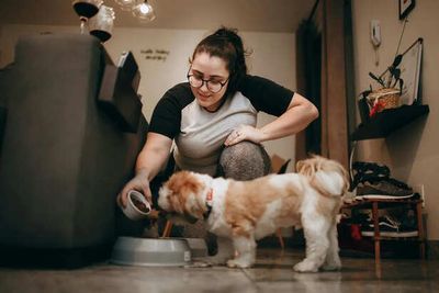 Late-Night Feeding Habits: Does Meal Timing Affect Pet Health?