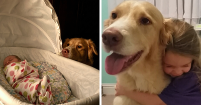60 Precious Photos Of Pets Who Have Grown Up Alongside Their Owners (New Pics)