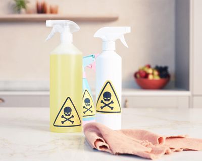 Largest-ever ban on toxic chemicals in EU hit by ‘extremely frustrating’ delays