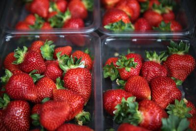 UK-grown strawberries hit supermarket shelves early thanks to warm weather