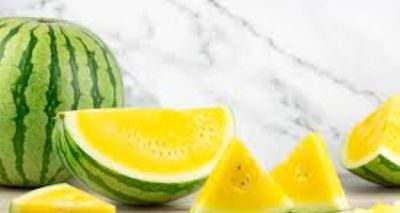 This ‘Yellow Watermelon’ Gamble Turned an Odisha Village Rich in Just 90 Days