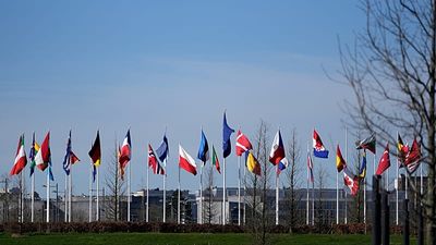 Pentagon considers suspending Spain from NATO, leaked email suggests