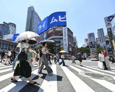 Tokyo workers encouraged to wear shorts to cut energy costs and keep cool