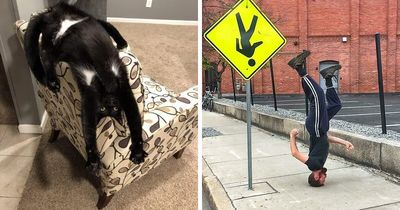 61 Upside-Down Things That Might Send Your Brain Into A Complete And Utter Meltdown