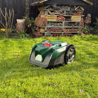 I always thought robot lawn mowers were too complicated, but this Bosch one makes setup *so* easy – and it’s perfect for small gardens