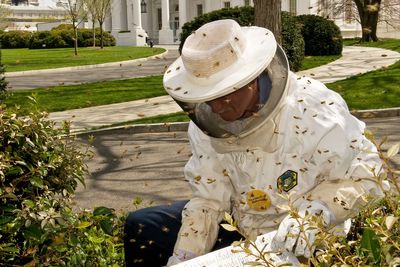Melania Trump puts her own mark on the White House with a uniquely-shaped beehive