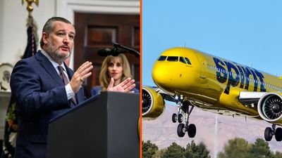 ‘This is an absolutely TERRIBLE idea’: Ted Cruz joins others to slam Trump’s plan to bail out an airline that declared bankruptcy twice