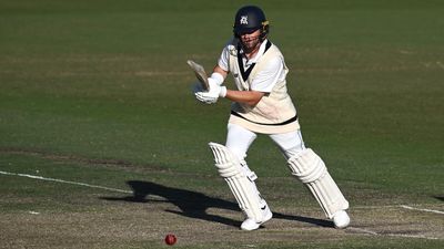 Wild about 'Harry': another ton for run-hungry Aussie