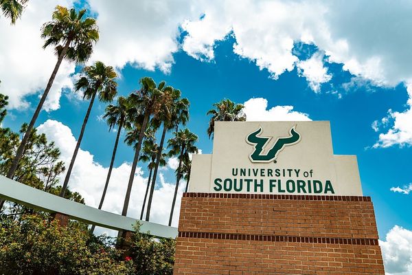 University of South Florida Mystery Deepens After Body Found And Roommate Charged