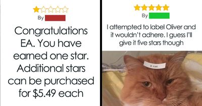 “The Most Beautiful Place I’ve Argued With My Wife”: 67 Of The Most Hilarious Reviews (New Pics)