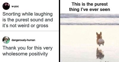 53 Wholesome Internet Finds That Might Just Lift Your Mood