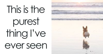 53 Wholesome Internet Finds That Might Just Lift Your Mood