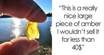 85 Interesting Cases Of People Asking The Internet “What’s This Worth?” And Getting A Straight Answer
