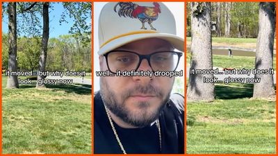 Florida man swears a tree is moving closer to his house. That’s not as crazy as it sounds