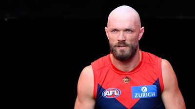 AFL sacks appeals board chair, Gawn condemns language