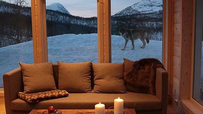 Ditch the hotel for a zoo? Top European destinations for a wild night away