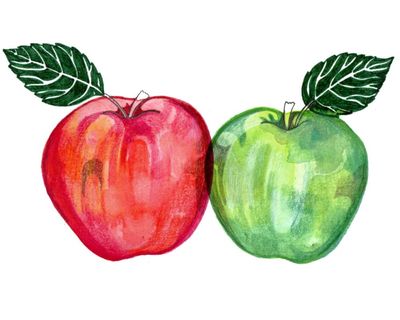 Why are red apples sweet and green apples sour? The kids’ quiz