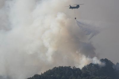 Thousands evacuate in Japan as forest fires close in on homes