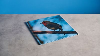 Blurb Photo Book review