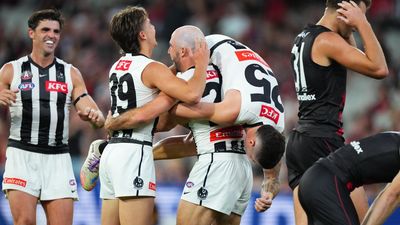 Magpies use experience to deadly effect against Bombers