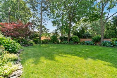 Don’t Plant These 5 Things If You’re on a Tight Budget