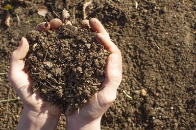 Why Your ‘Organic’ Soil Might Be Hiding a Dirty Secret