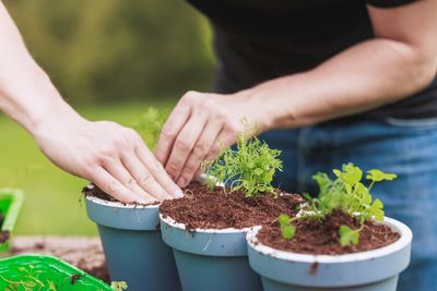 The Potting Mix Scams: Don’t Fall for These 3 Expensive Marketing Tricks