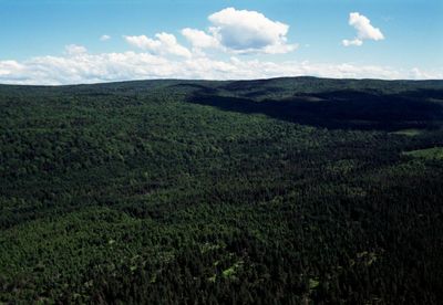 What counts as the woods? Judge axes Nova Scotia’s ban that defied ‘commonsense definitions’