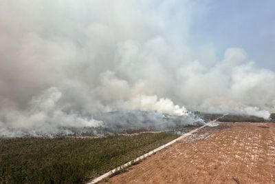 Georgia wildfires threaten residents as strong winds raise spread risk