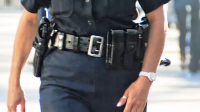 Armed LAPD officers swarm an Encino content creator mansion Thursday night. All because someone picked up the phone and lied