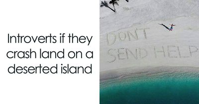 79 Silly Memes That Feel Suspiciously Relatable