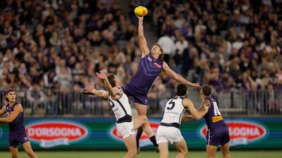 Our unicorn is evolving: Dockers praise star big man
