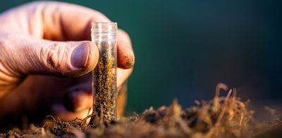 Soil monitoring: what the new EU-wide ‘ground rules’ have in store for Europe