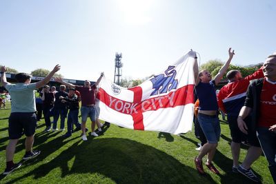 Police investigate video appearing to show York player punch a fan during title decider