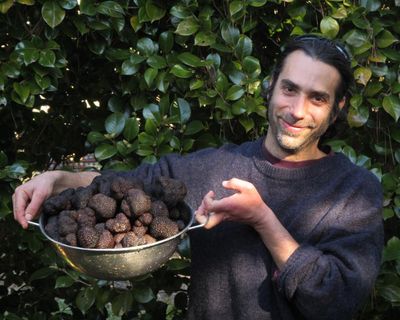 Australia is the world’s fourth-largest black truffle producer. Now scientists may have unearthed why